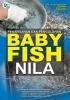 Penanganan dan Pengolahan Baby Fish Nila